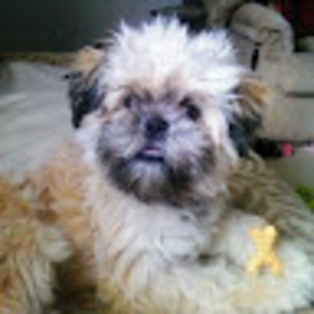 I have nothing for sale.